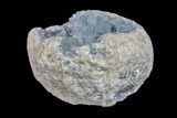 Sky Blue Celestine (Celestite) Geode ( Lbs) - Madagascar #156508-2